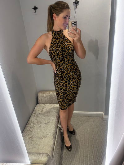 Bardot leopard print dress size 6
